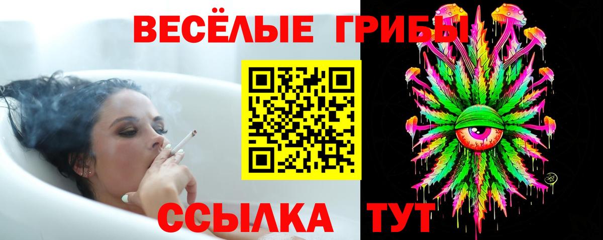 Галлюциногенные грибы Cubensis  Вход с VPN  Дербент 